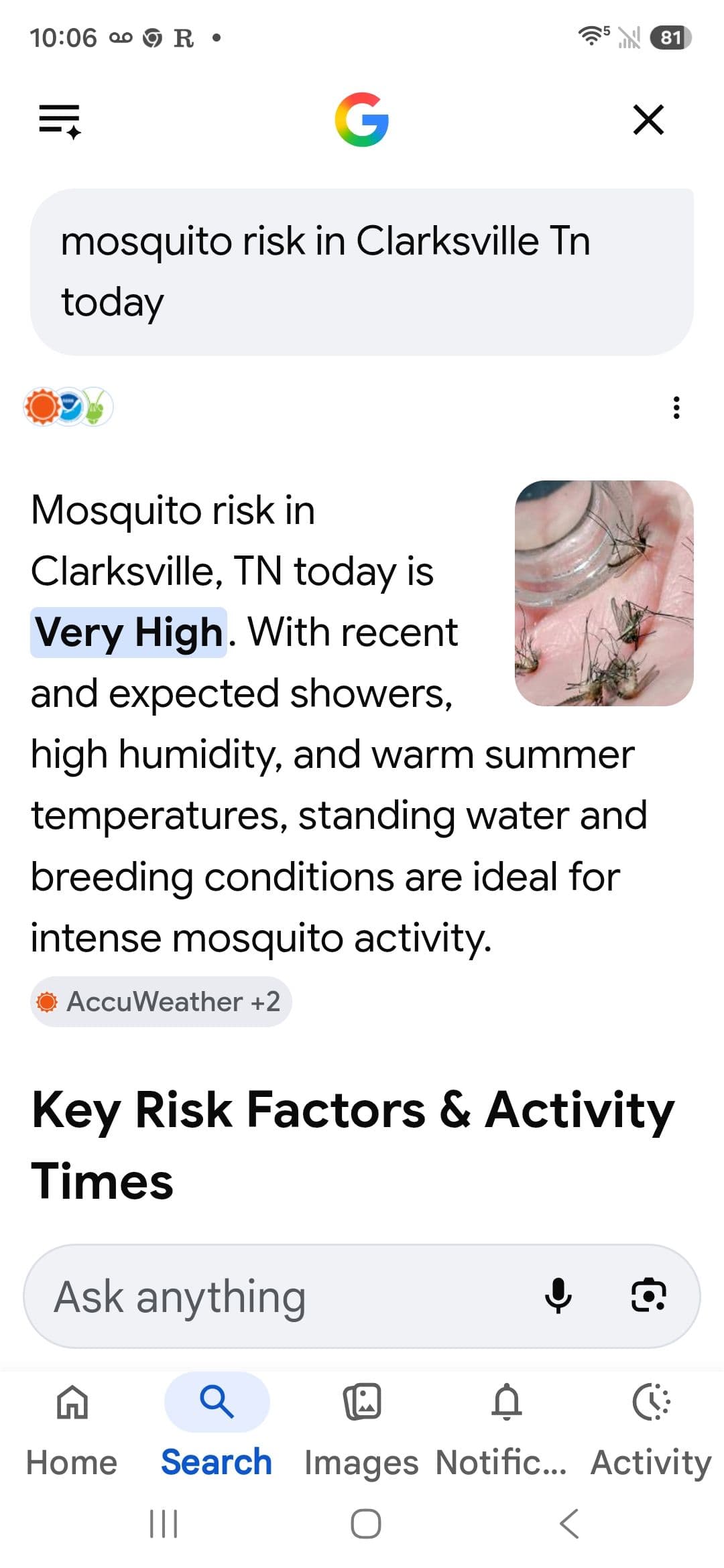 Mosquito Season in Clarksville is No Joke - Here's the Fix image