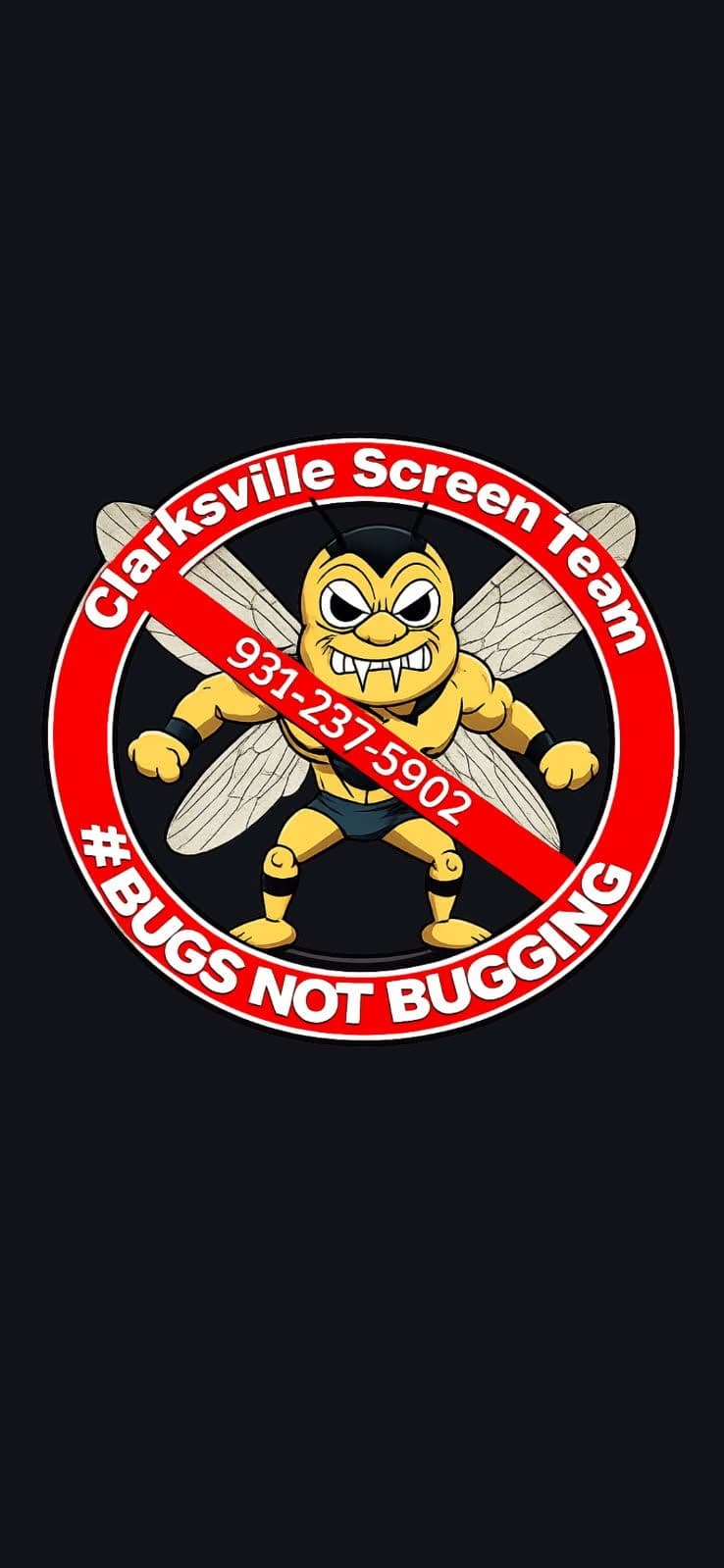 Clarksville Screen Team Keeps Your Patio Bug-Free image